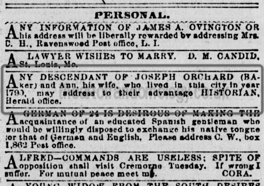 New York Daily Herald, 17 February 1878