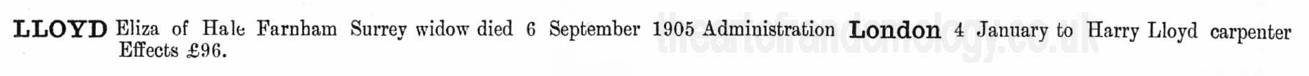 National Probate Calendar: Eliza Lloyd 1905