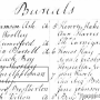 adamappelmanbur1803.png